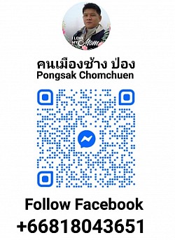 เพิ่มเพื่อน ติดตาม Facebook